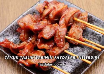 Tavuk Taşlık Zarının Faydaları Nelerdir?