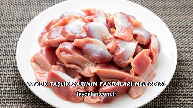 Tavuk Taşlık Zarının Faydaları Nelerdir?
