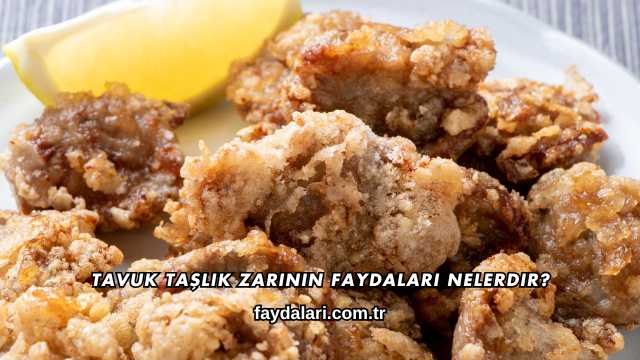 Tavuk Taşlık Zarının Faydaları Nelerdir?
