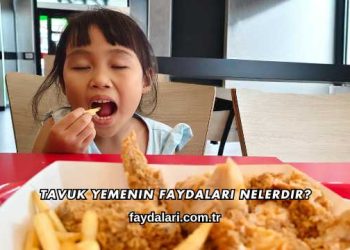 Tavuk Yemenin Faydaları Nelerdir?