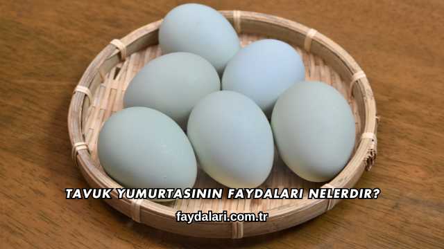 Tavuk Yumurtasının Faydaları Nelerdir?