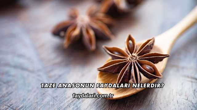 Taze Anasonun Faydaları Nelerdir?