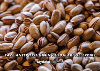 Taze Antep Fıstığının Faydaları Nelerdir?