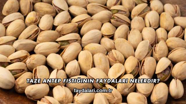 Taze Antep Fıstığının Faydaları Nelerdir?