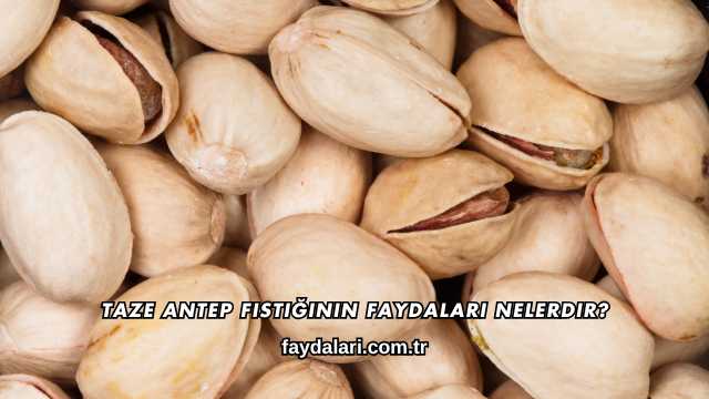 Taze Antep Fıstığının Faydaları Nelerdir?
