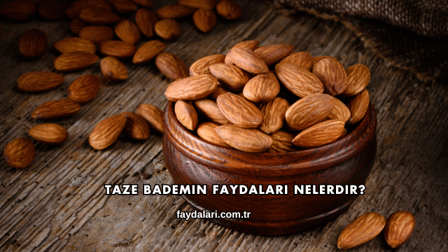 Taze Bademin Faydaları Nelerdir?