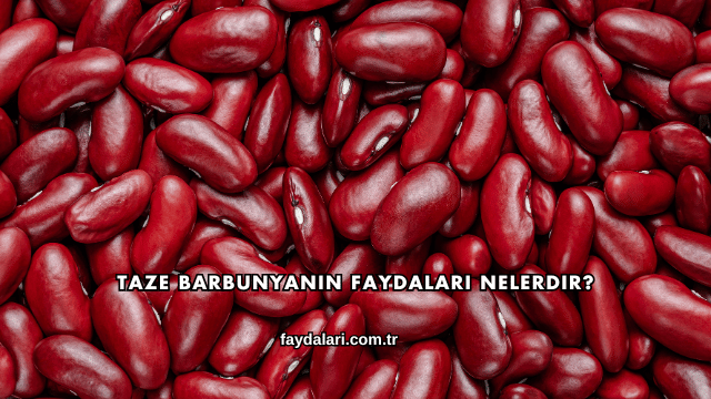 Taze Barbunyanın Faydaları Nelerdir?