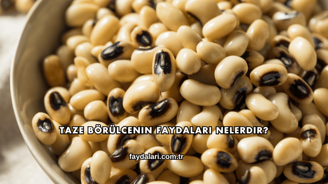 Taze Börülcenin Faydaları Nelerdir?