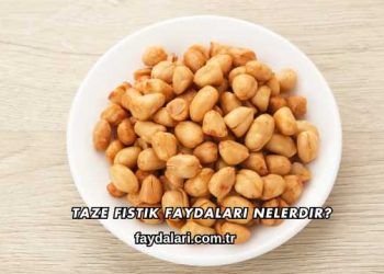 Taze Fıstık Faydaları Nelerdir?