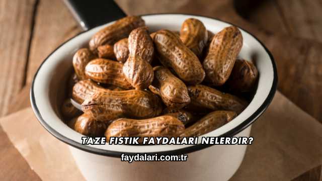 Taze Fıstık Faydaları Nelerdir?
