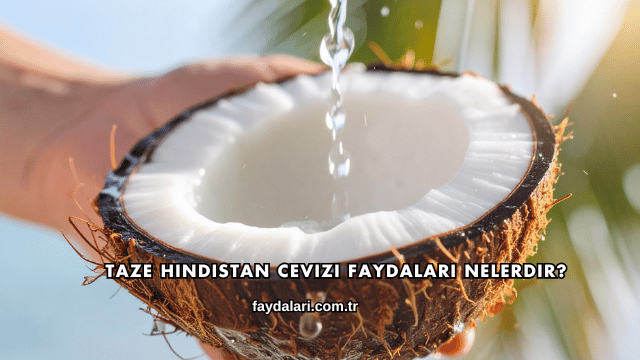 Taze Hindistan Cevizi Faydaları Nelerdir?
