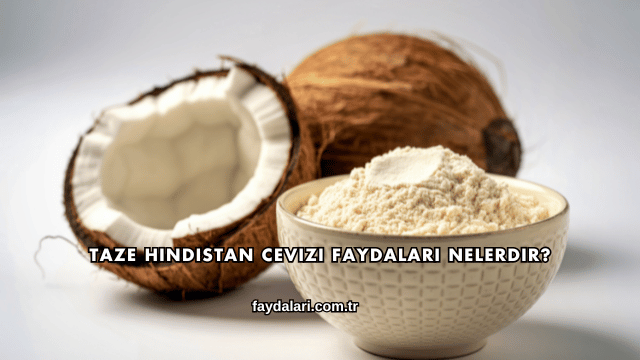 Taze Hindistan Cevizi Faydaları Nelerdir?