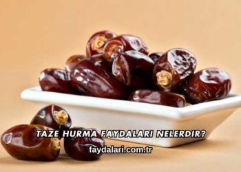 Taze Hurma Faydaları Nelerdir?