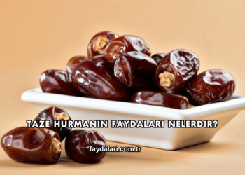 Taze Hurmanın Faydaları Nelerdir?