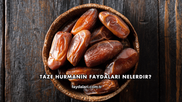 Taze Hurmanın Faydaları Nelerdir?