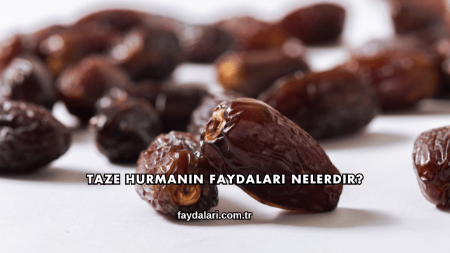 Taze Hurmanın Faydaları Nelerdir?