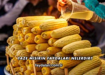Taze Mısırın Faydaları Nelerdir?
