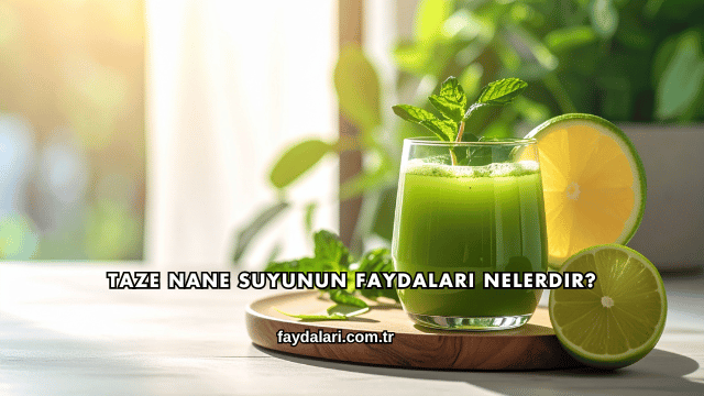 Taze Nane Suyunun Faydaları Nelerdir?