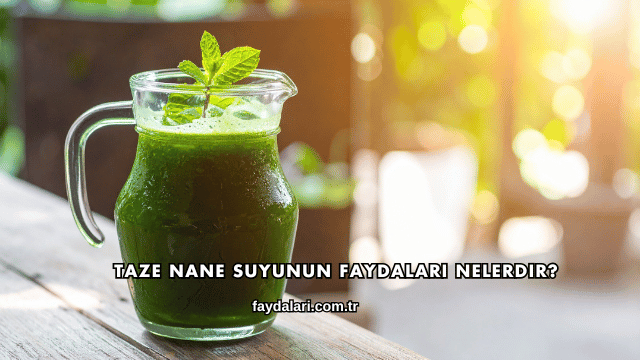 Taze Nane Suyunun Faydaları Nelerdir?