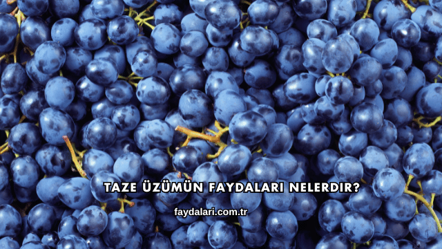 Taze Üzümün Faydaları Nelerdir?