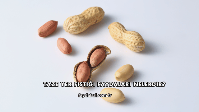 Taze Yer Fıstığı Faydaları Nelerdir?