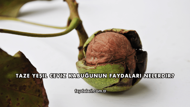 Taze Yeşil Ceviz Kabuğunun Faydaları Nelerdir?