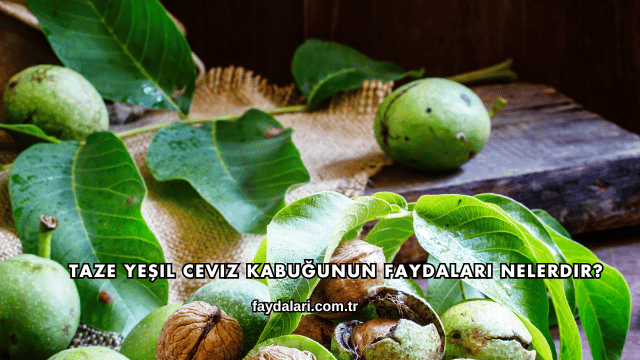 Taze Yeşil Ceviz Kabuğunun Faydaları Nelerdir?