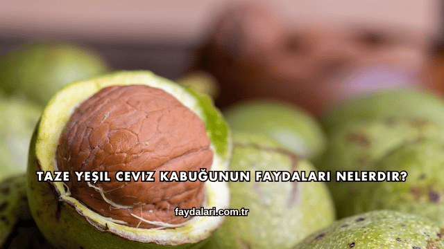 Taze Yeşil Ceviz Kabuğunun Faydaları Nelerdir?