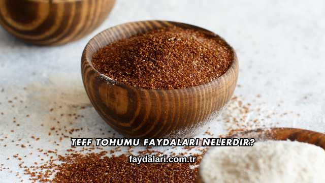 Teff Tohumu Faydaları Nelerdir?