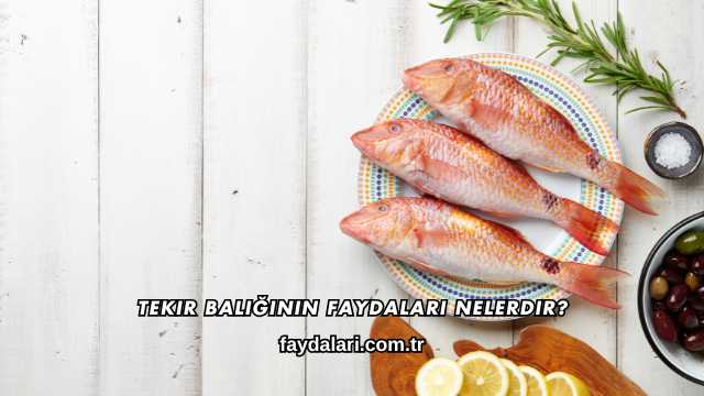 Tekir Balığının Faydaları Nelerdir?