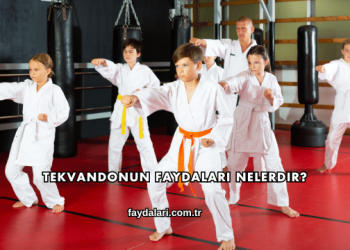 Tekvandonun Faydaları Nelerdir?