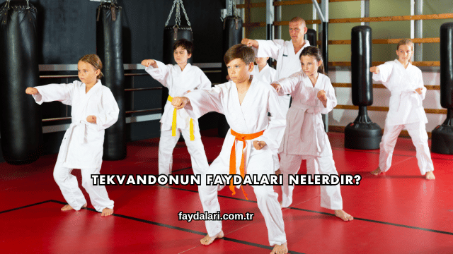 Tekvandonun Faydaları Nelerdir?