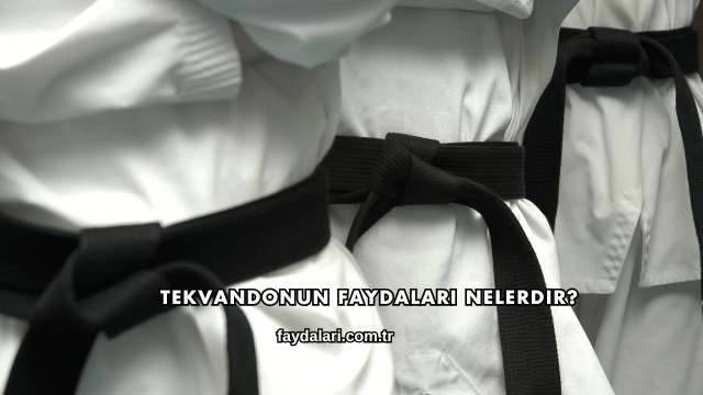 Tekvandonun Faydaları Nelerdir?