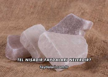 Tel Nişadır Faydaları Nelerdir?