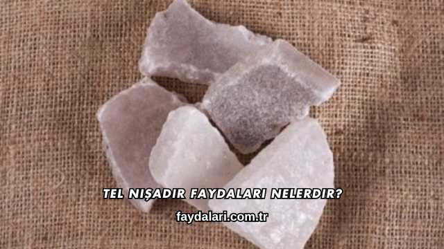 Tel Nişadır Faydaları Nelerdir?
