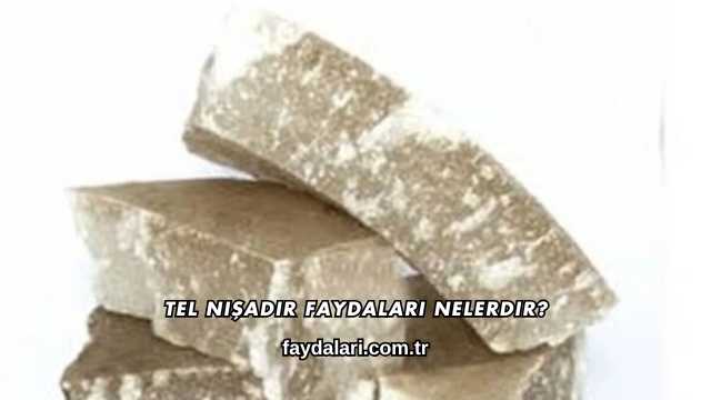 Tel Nişadır Faydaları Nelerdir?
