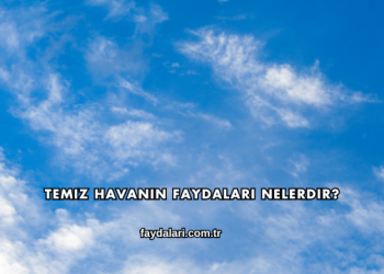 Temiz Havanın Faydaları Nelerdir?