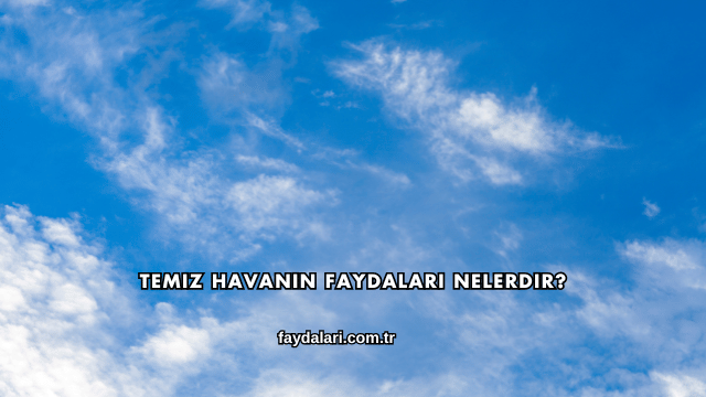 Temiz Havanın Faydaları Nelerdir?