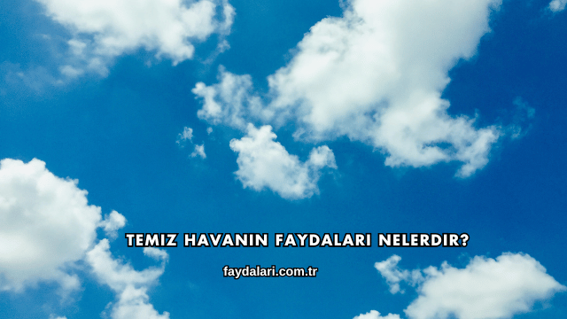 Temiz Havanın Faydaları Nelerdir?