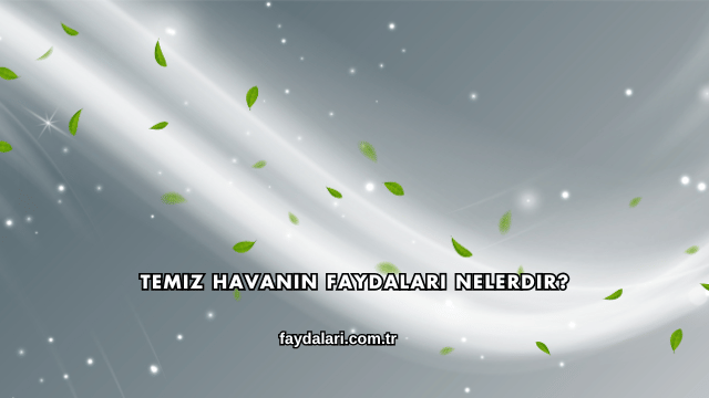Temiz Havanın Faydaları Nelerdir?