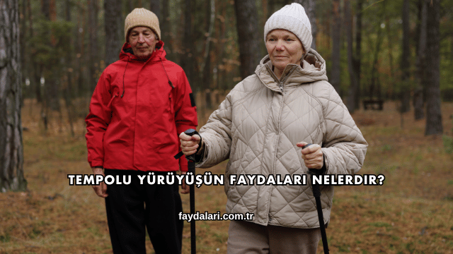 Tempolu Yürüyüşün Faydaları Nelerdir?