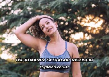 Ter Atmanın Faydaları Nelerdir?