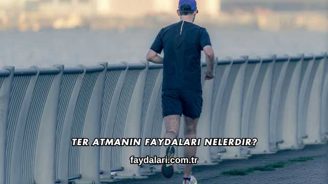 Ter Atmanın Faydaları Nelerdir?
