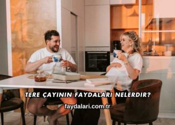 Tere Çayının Faydaları Nelerdir?