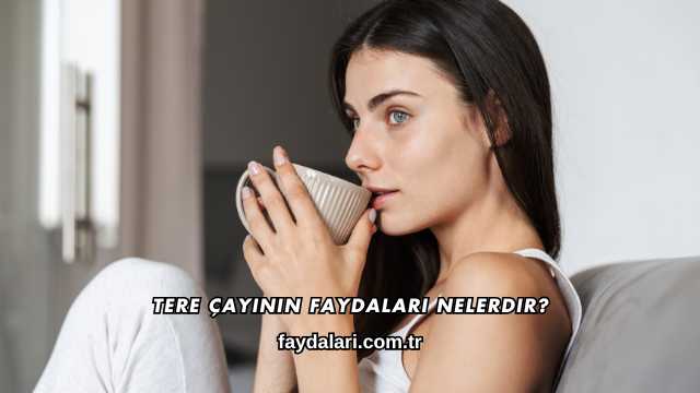 Tere Çayının Faydaları Nelerdir?