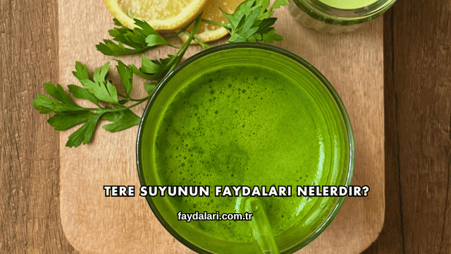 Tere Suyunun Faydaları Nelerdir?
