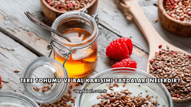 Tere Tohumu ve Bal Karışımı Faydaları Nelerdir?