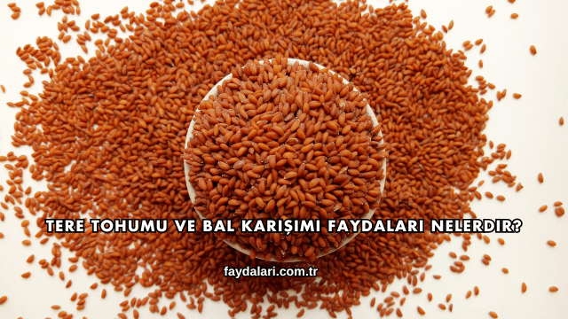 Tere Tohumu ve Bal Karışımı Faydaları Nelerdir?