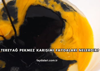 Tereyağ Pekmez Karışımı Faydaları Nelerdir?