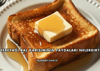 Tereyağı Bal Karışımının Faydaları Nelerdir?